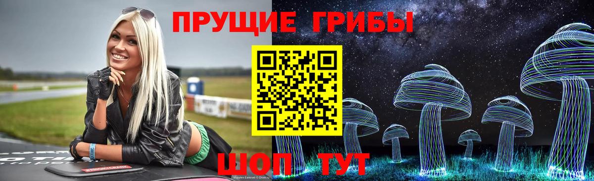 Псилоцибиновые грибы прущие грибы Дмитров